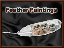 Feather Paintings