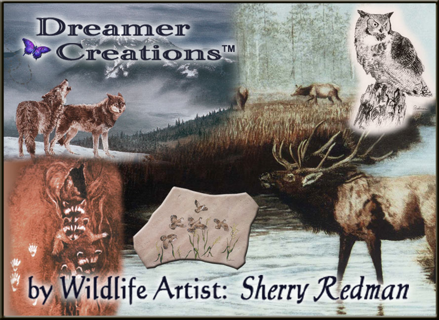 Dreamer Creations, by Wildlife Artist Sherry Redman